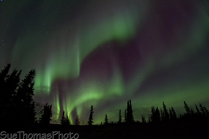Northern Lights - Aurora Borealis in Yukon