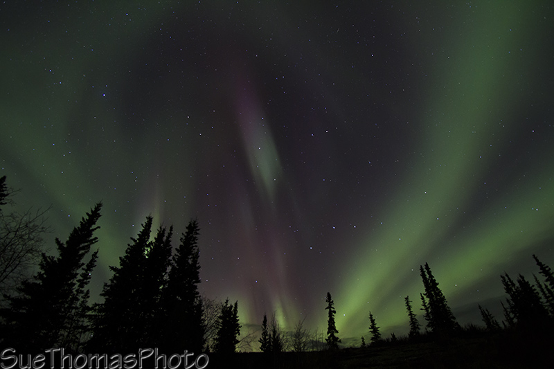 Northern Lights - Aurora Borealis in Yukon