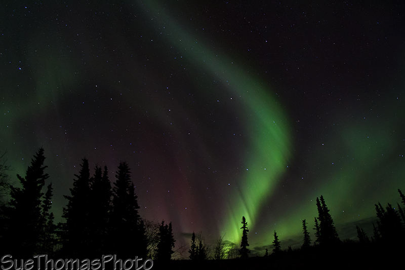 Northern Lights - Aurora Borealis in Yukon