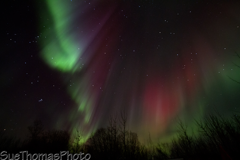 Aurora Borealis over Yukon