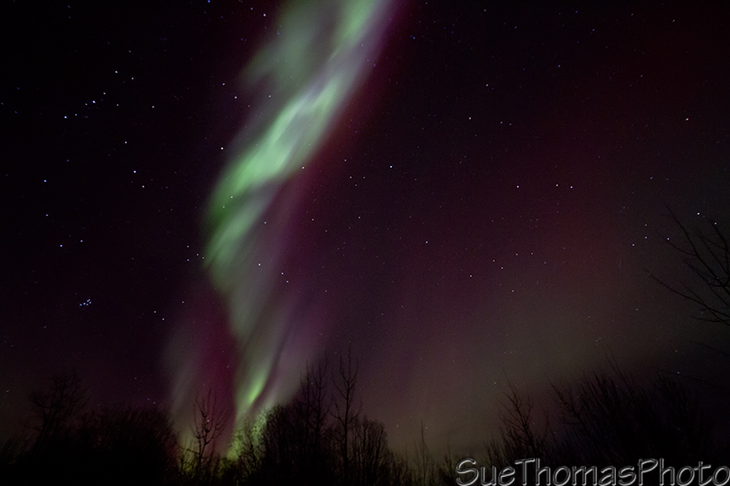 Aurora Borealis over Yukon