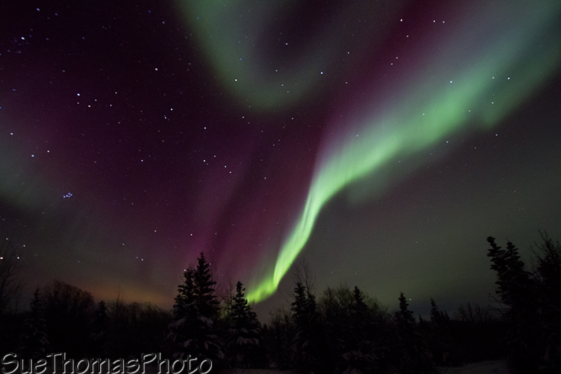 Aurora Borealis over Yukon