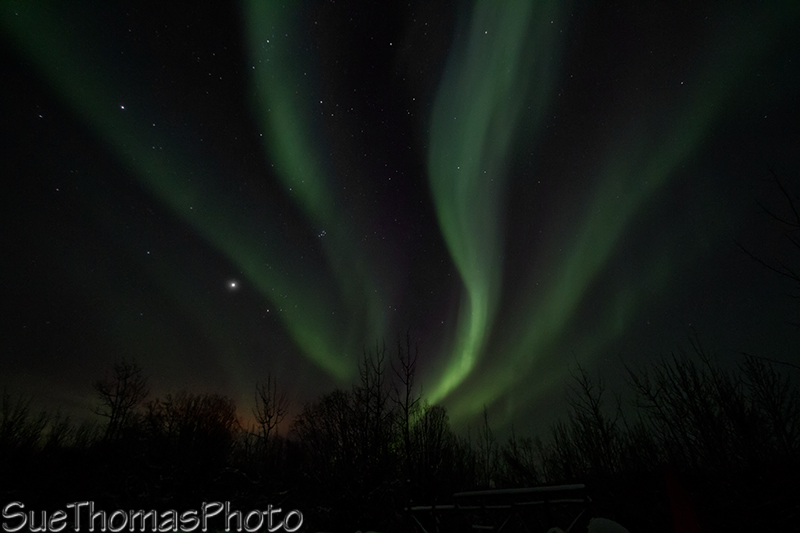 Northern Lights / Aurora