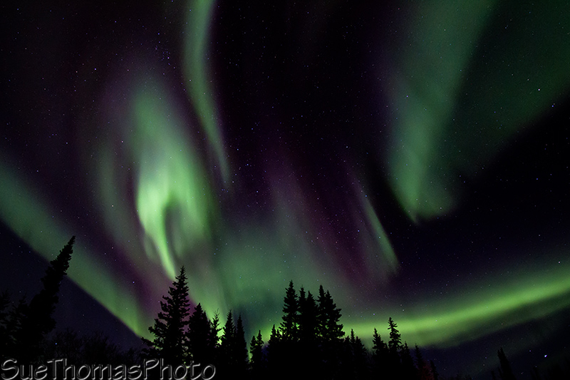 Aurora - Northern Lights