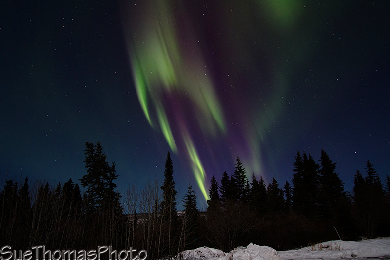 Lots of colour in the northern lights