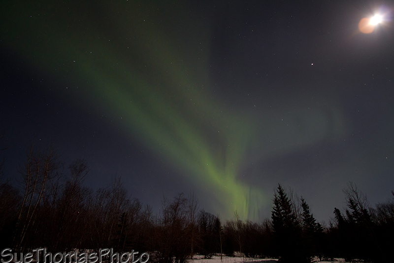 Aurora with moon glare on the lens