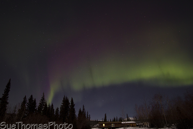 A streak of northern lights