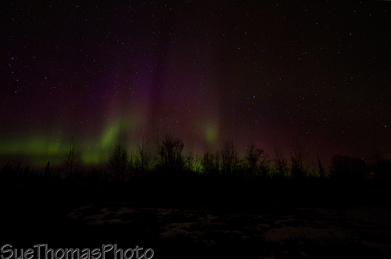 Northern Lights in Yukon