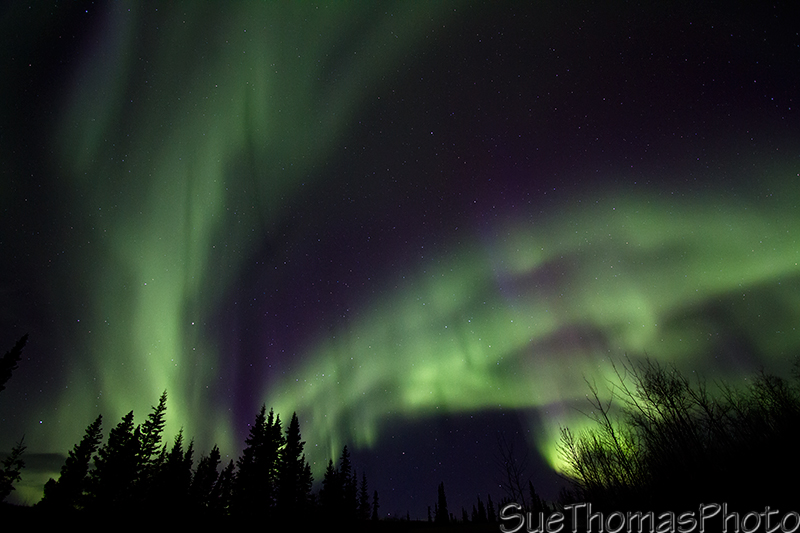 Northern Lights in Yukon