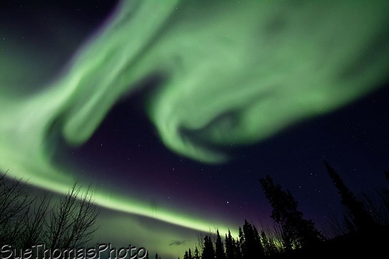Moving fast northern lights