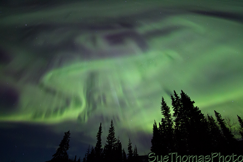 A favourite shot of aurora