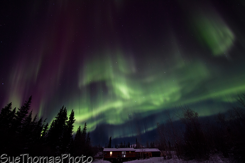 Aurora borealis over the cabin