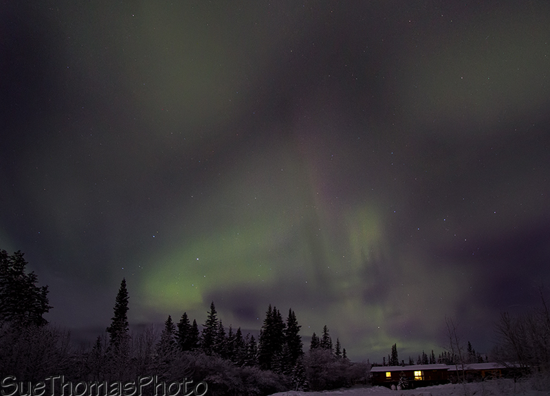 Morning northern lights