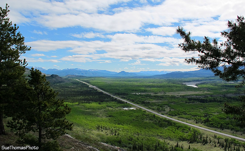 Spring in the Ibex Valley, Yukon - Alaska Highway too