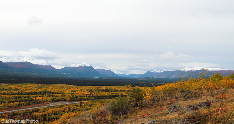 Fall/Autumn Colours in Yukon
