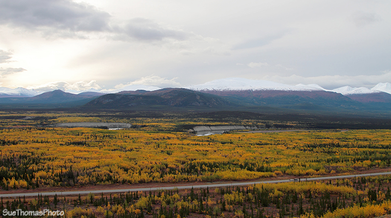 Fall/Autumn Colours in Yukon