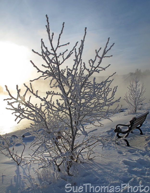 Yukon River in Whitehorse