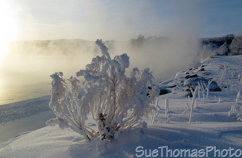 Yukon River in Whitehorse
