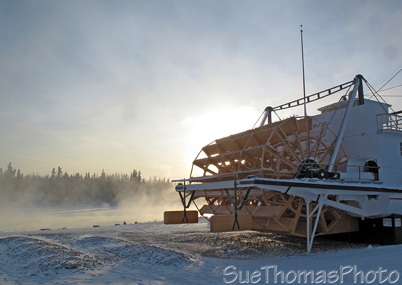 Yukon River in Whitehorse