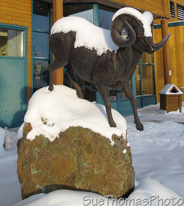 Yukon River in Whitehorse