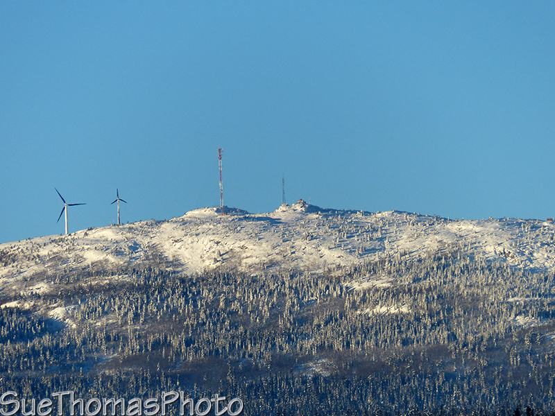 Whitehorse in winter
