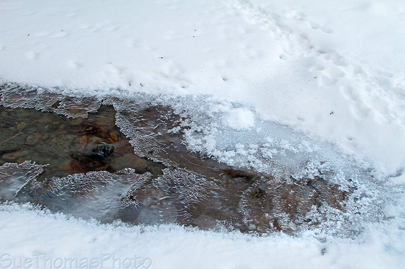 Creek Ice